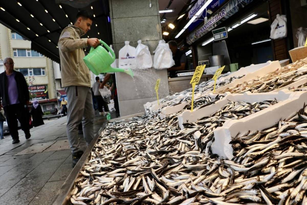 Trabzon'da hamsi ve istavritin kilogramı 100 liradan satılıyor