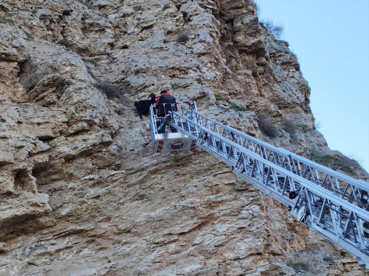 Çorum'da kayalıklarda mahsur kalan 4 keçiyi itfaiye kurtardı