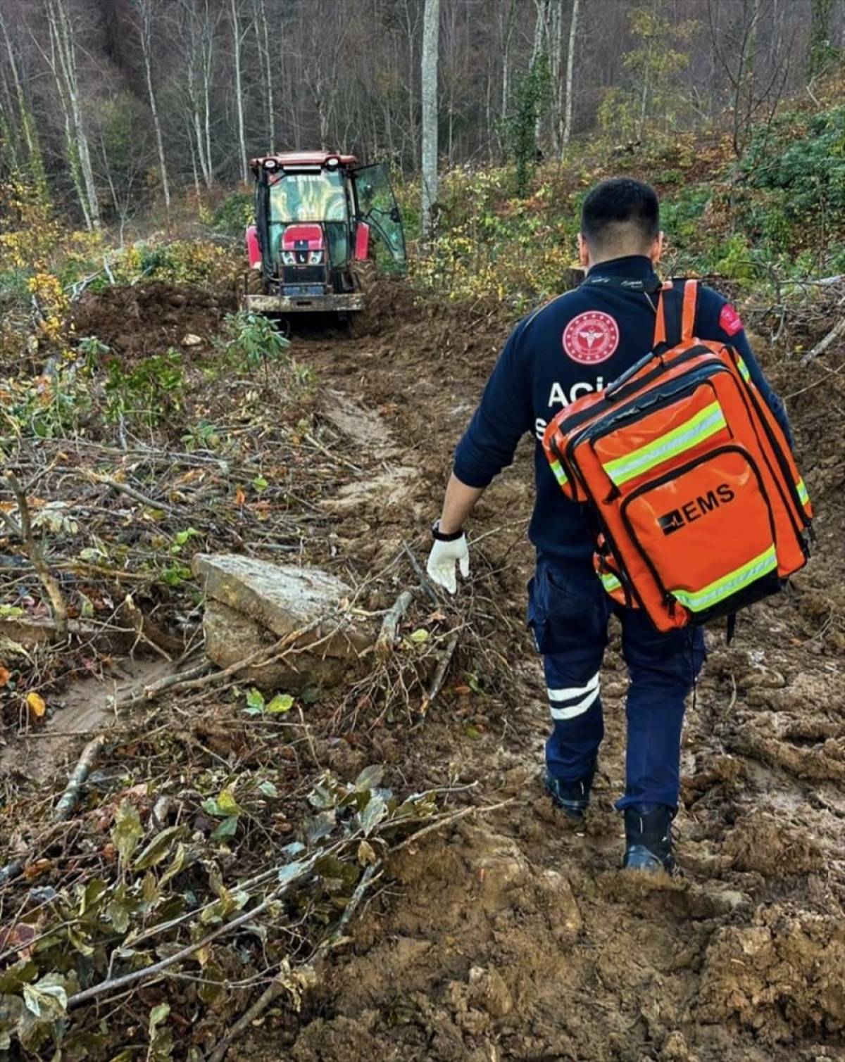 Kastamonu'da tomruk altında kalan orman işçisi yaralandı