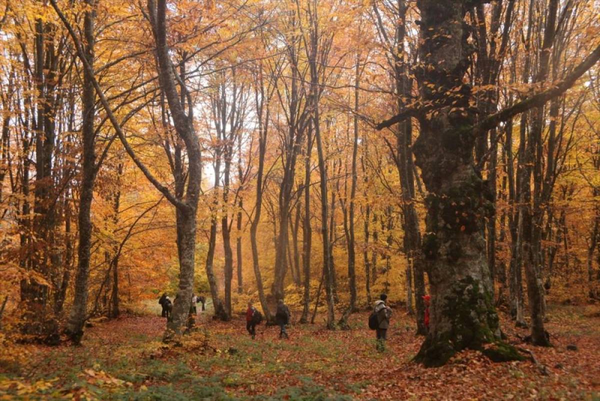 Amasya'daki İnegöl Dağları hazan renklerine büründü