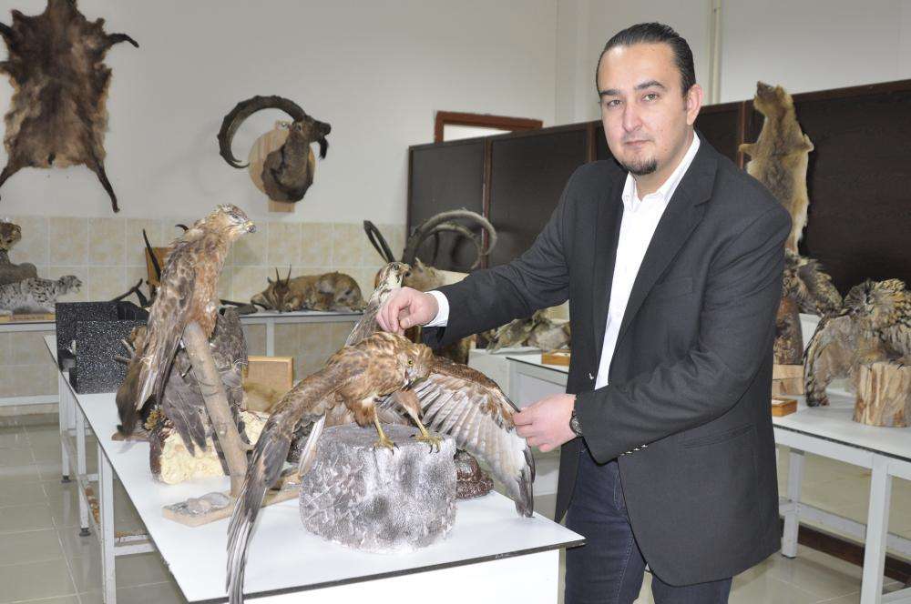 Üniversite öğrencileri tahnit uygulanan yaban hayvanları üzerinde çalışıyor!