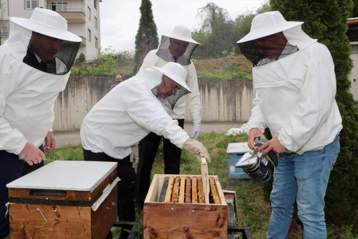 Komşu ilde ana arı yetiştiriciliği kursu düzenlendi