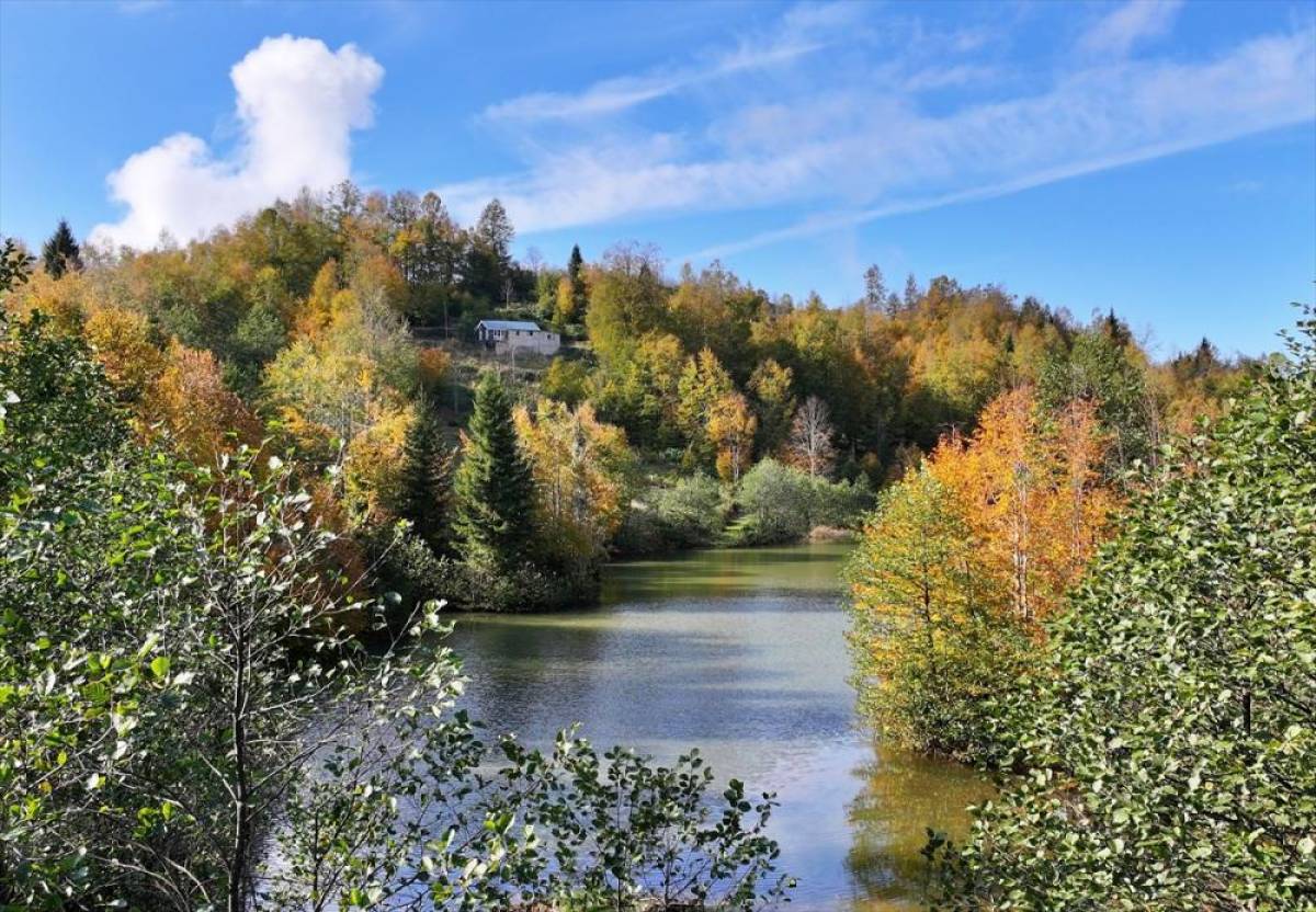 Trabzon'daki Taşlıyatak Yaylası ziyaretçilerini sonbahar renkleriyle karşılıyor