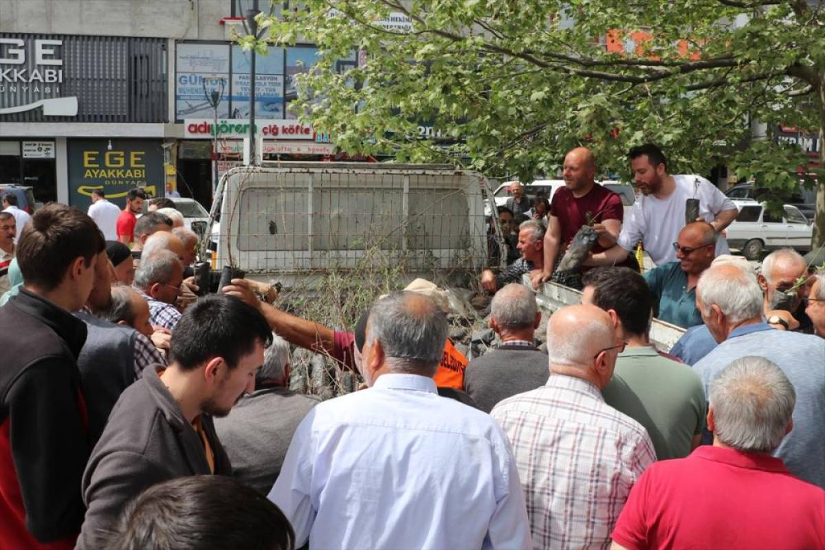Havza Belediyesi ücretsiz 1500 meyve fidanı dağıttı