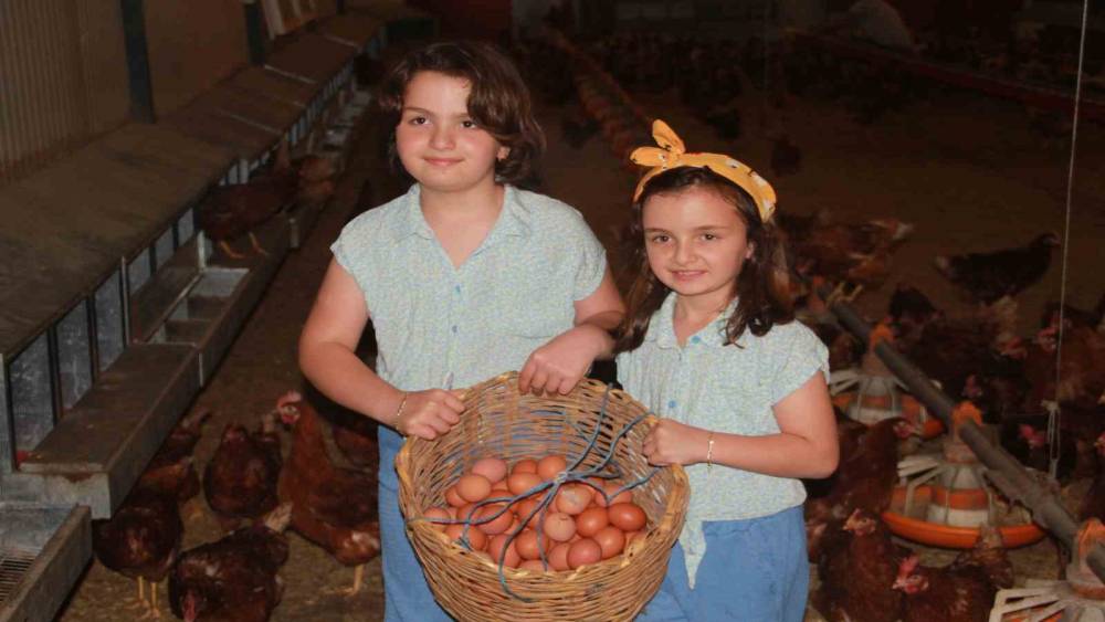 Komşu ilimizde yumurta üretimi yıllık 40 milyonu aştı