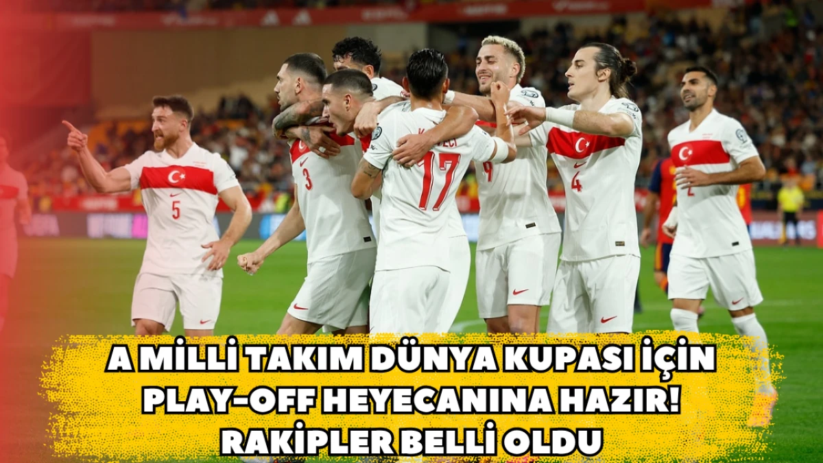 A Milli Takım Dünya Kupası İçin Play-Off Heyecanına Hazır!