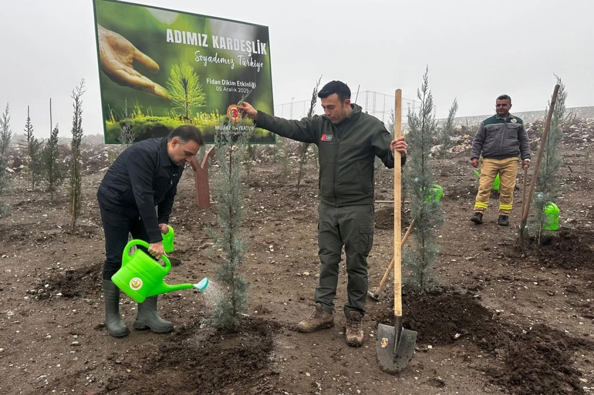 Baybatur’dan yanan orman alanlarına 1000 fidan