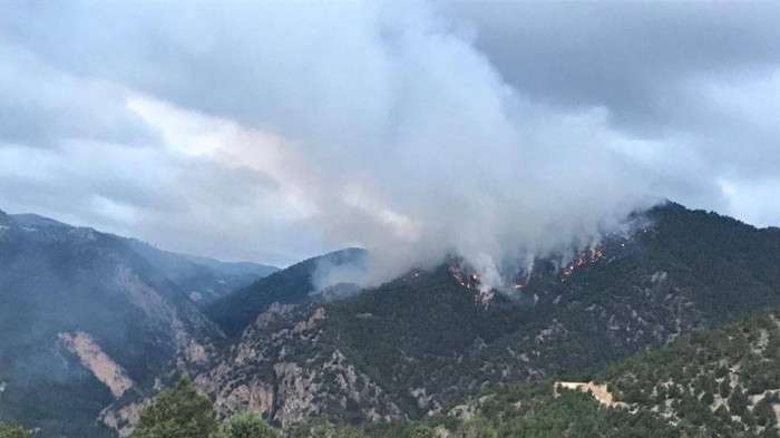 Bolu'da yıldırım düşmesi sonucu çıkan orman yangınına müdahale sürüyor