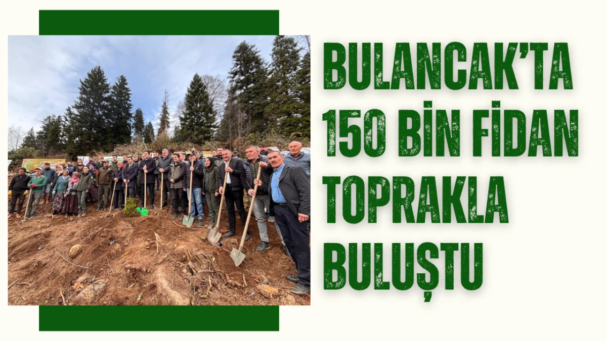 Bulancak’ta 150 bin fidan toprakla buluştu