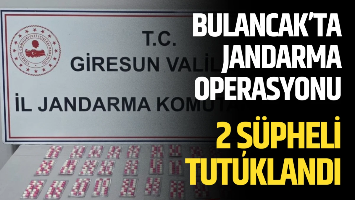 Bulancak&rsquo;ta Jandarma Operasyonu, 2 Ş&uuml;pheli Tutuklandı