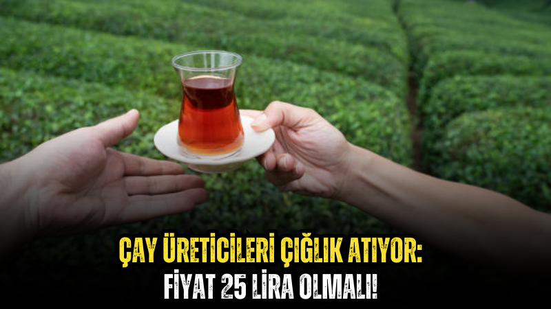 Çay Üreticileri Çığlık Atıyor: Fiyat 25 Lira Olmalı!