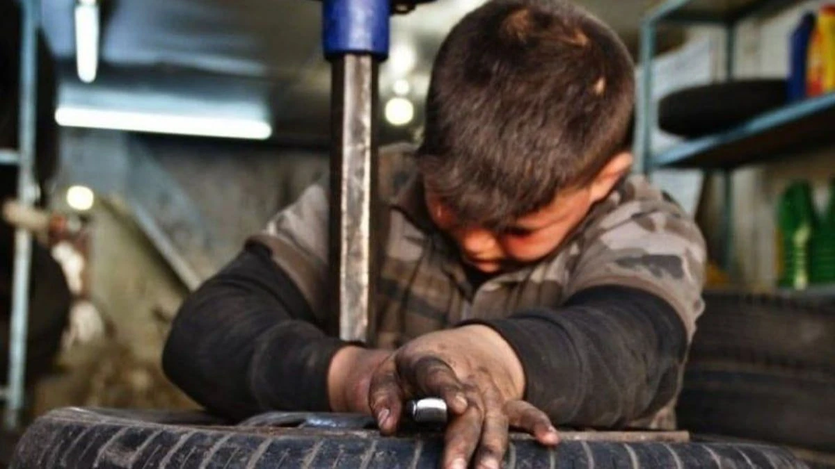 Çocuk işçiliğinde sıfır tolerans: Türkiye’nin Yeni Nesil Mücadele Modeli