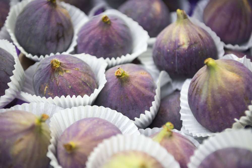 EGENİN CENNET MEYVESİ İNCİR DÜNYA SOFRALARINDA 