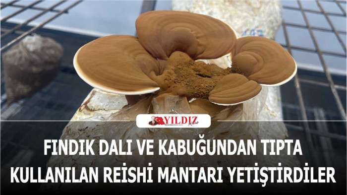 Seks video klip qanday sikish haqida