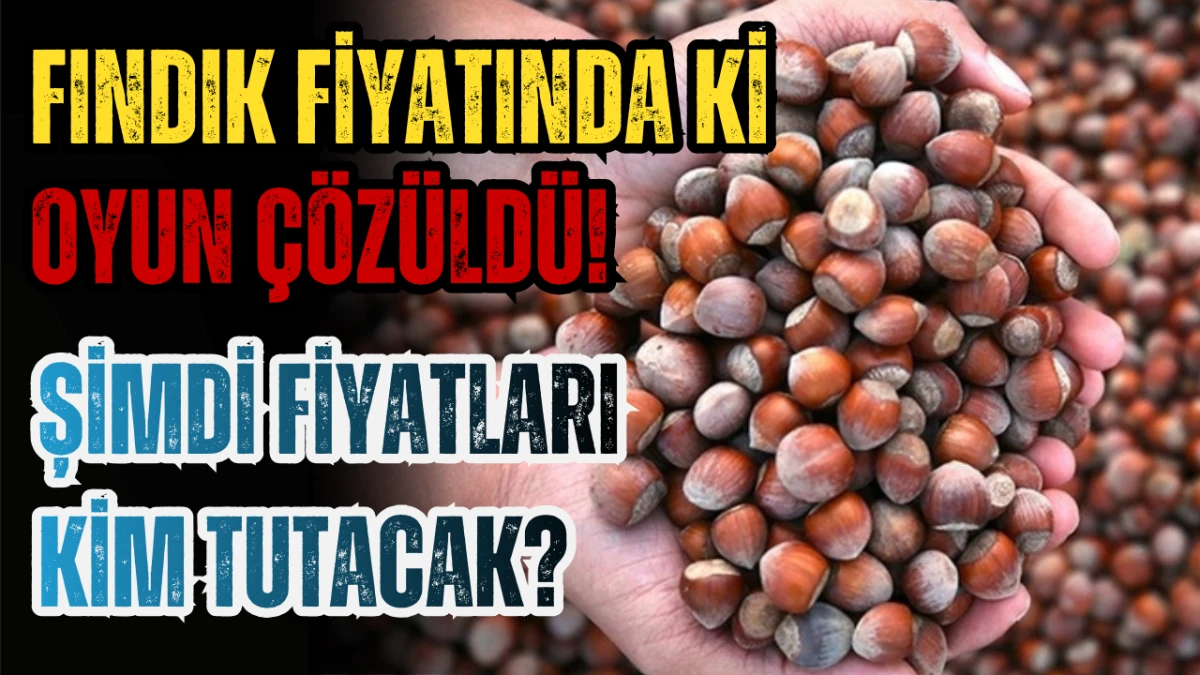 Fındık fiyatındaki oyun &ccedil;&ouml;z&uuml;ld&uuml;! Fiyatlar artacak mı ?