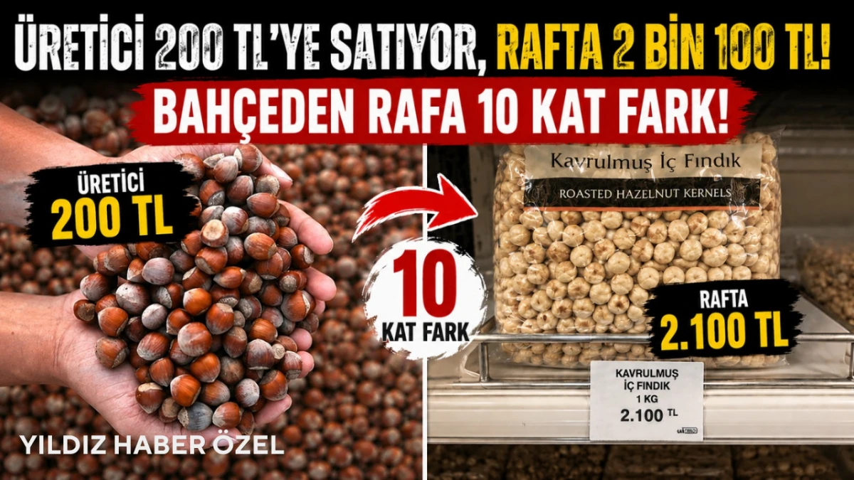 Fındıkta b&uuml;y&uuml;k u&ccedil;urum! Bah&ccedil;eden rafa 10 kat fark