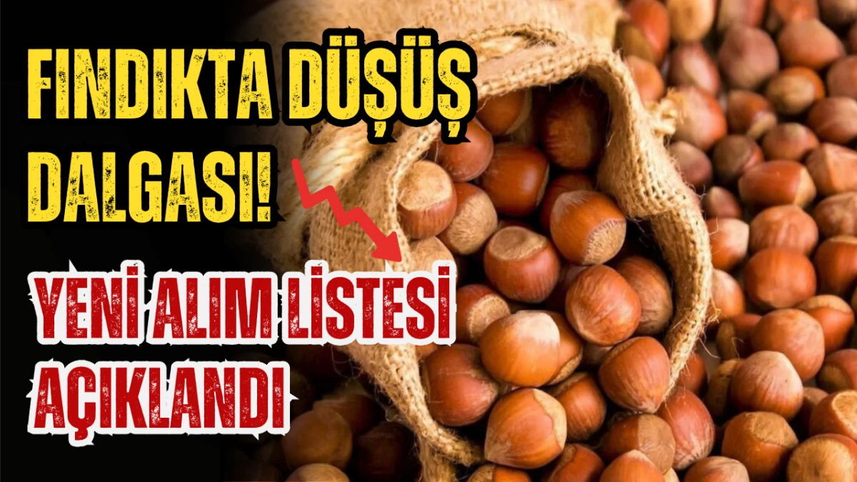 Fındıkta d&uuml;ş&uuml;ş dalgası! Yeni alım listesi a&ccedil;ıklandı