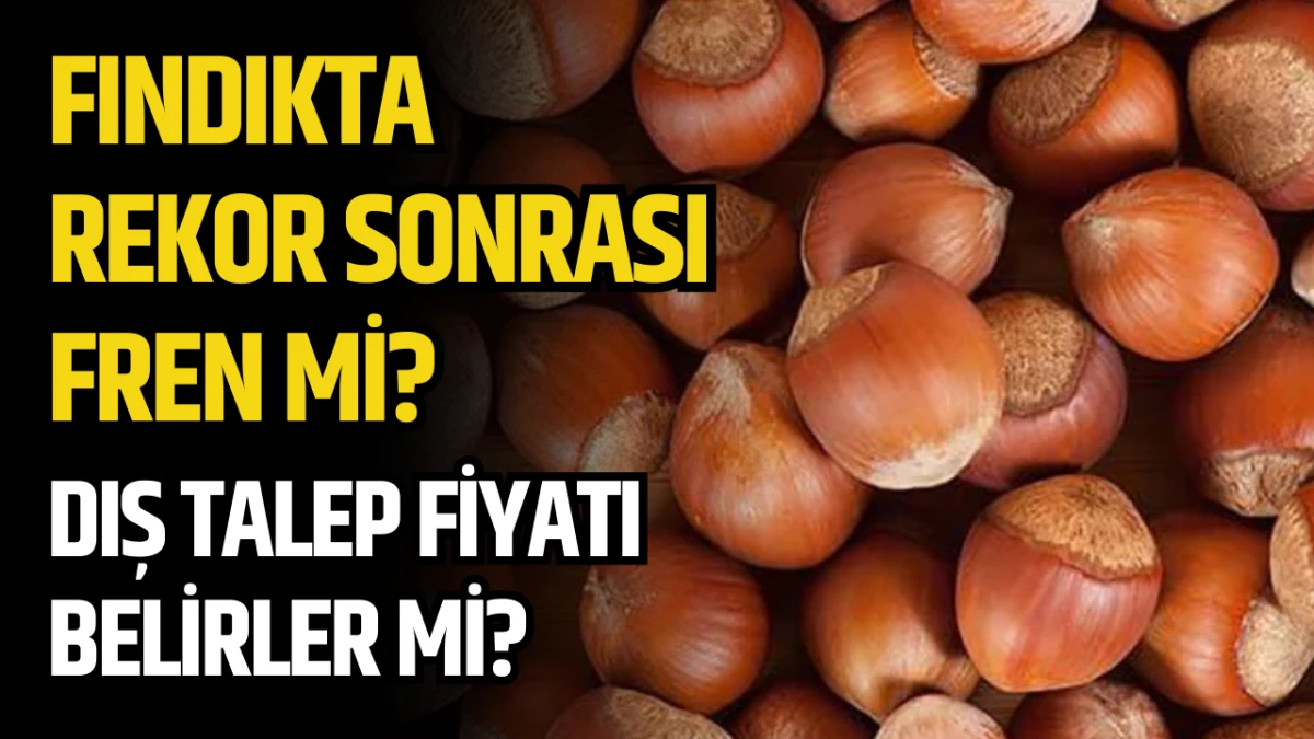 Fındıkta Rekor Sonrası Fren mi? Dış Talep Fiyatı Belirler mi?