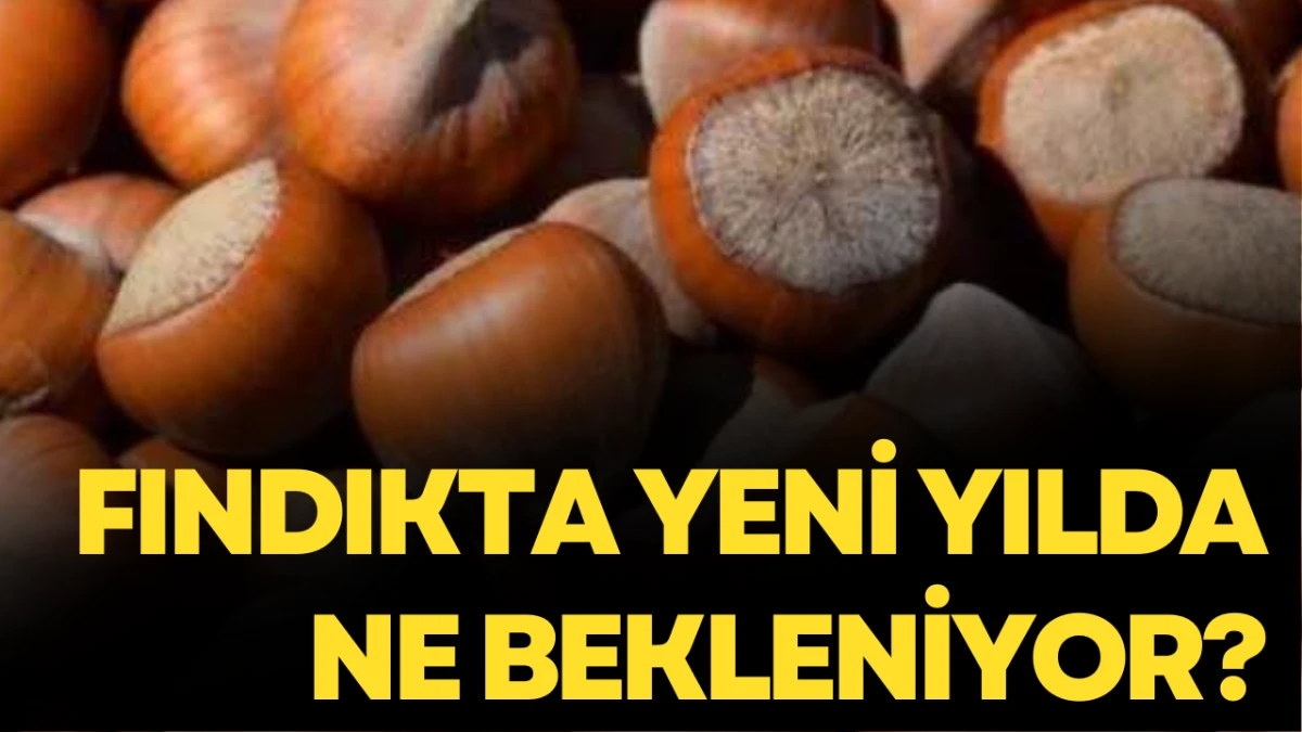 Fındıkta Yeni Yılda Ne Bekleniyor?