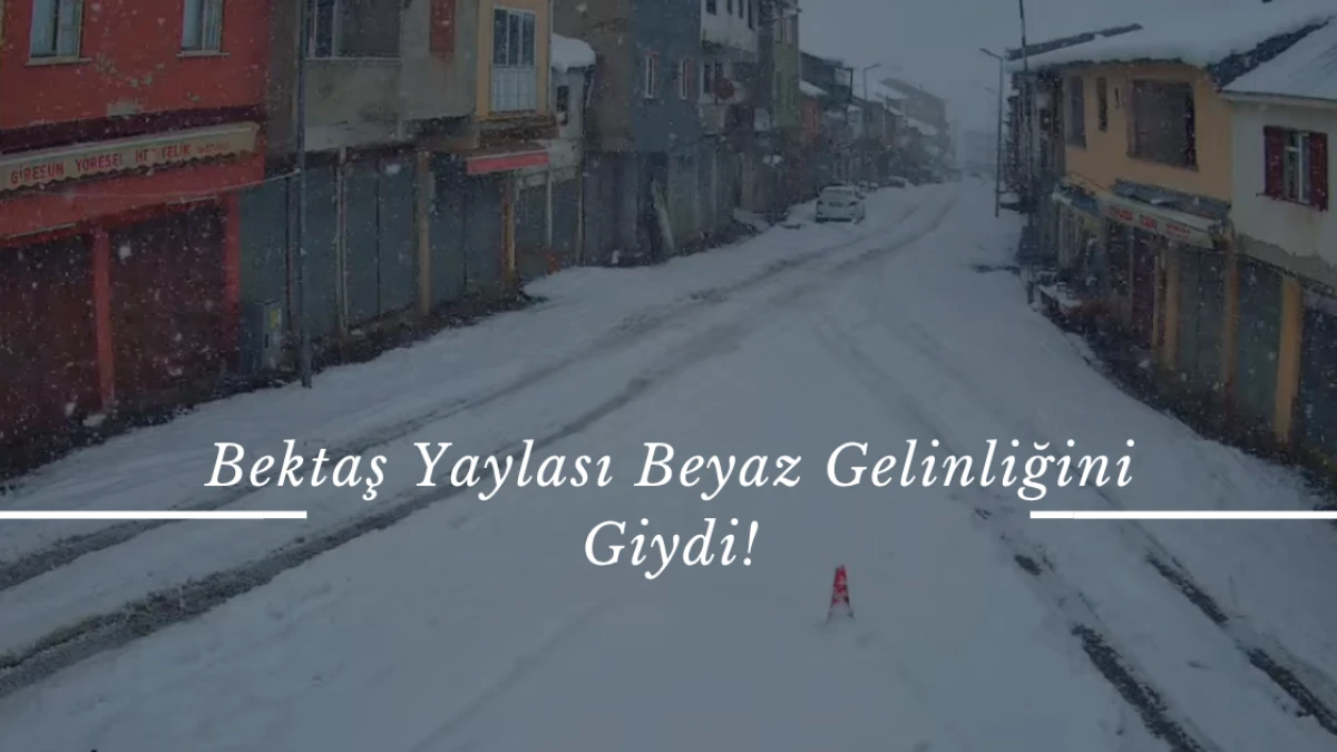 Giresun Bektaş Yaylası Beyaz Gelinliğini Giydi! 