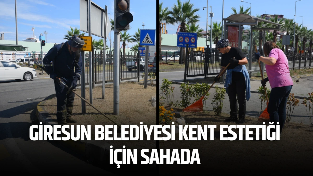 Giresun Belediyesi Kent Estetiği İ&ccedil;in Sahada
