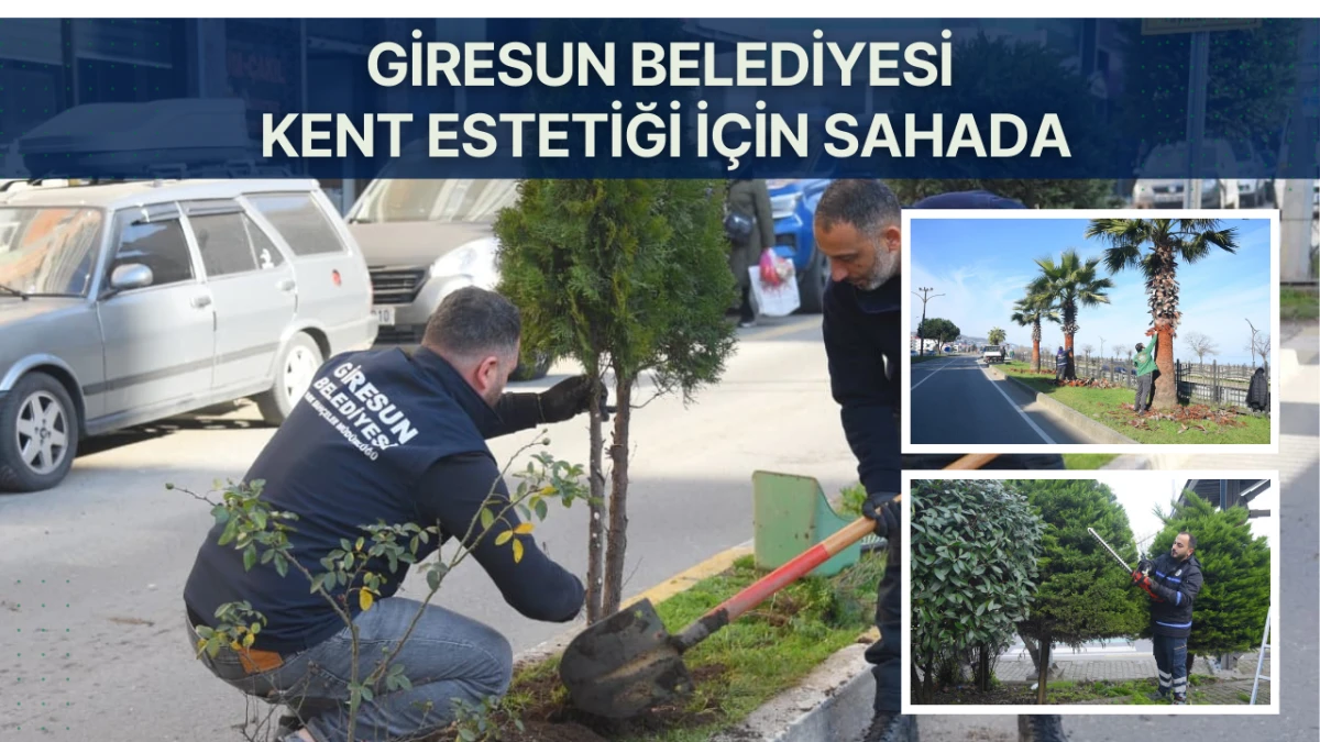 Giresun Belediyesi Kent Estetiği İ&ccedil;in Sahada