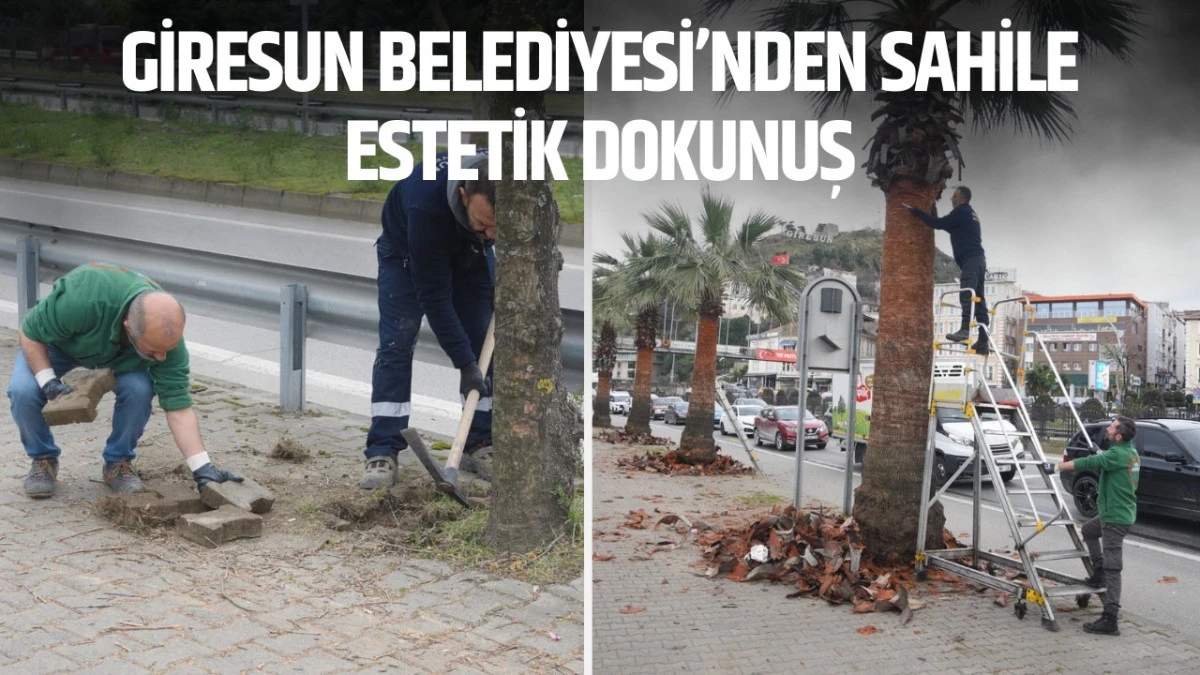 Giresun Belediyesi&rsquo;nden Sahile Estetik Dokunuş