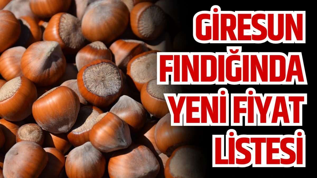 Giresun Fındığında Yeni Fiyat Listesi