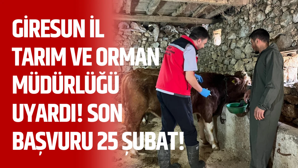 Giresun İl Tarım ve Orman M&uuml;d&uuml;rl&uuml;ğ&uuml; uyardı! Son başvuru 25 Şubat!