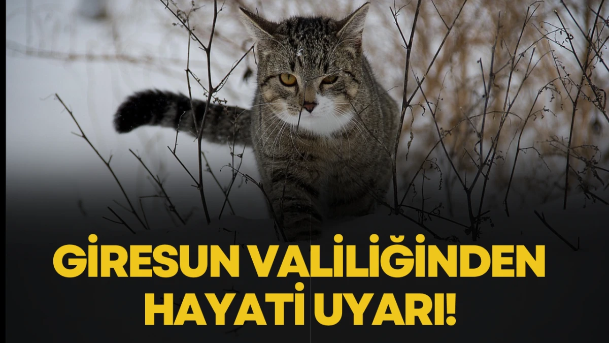 Giresun Valiliğinden Hayati Uyarı