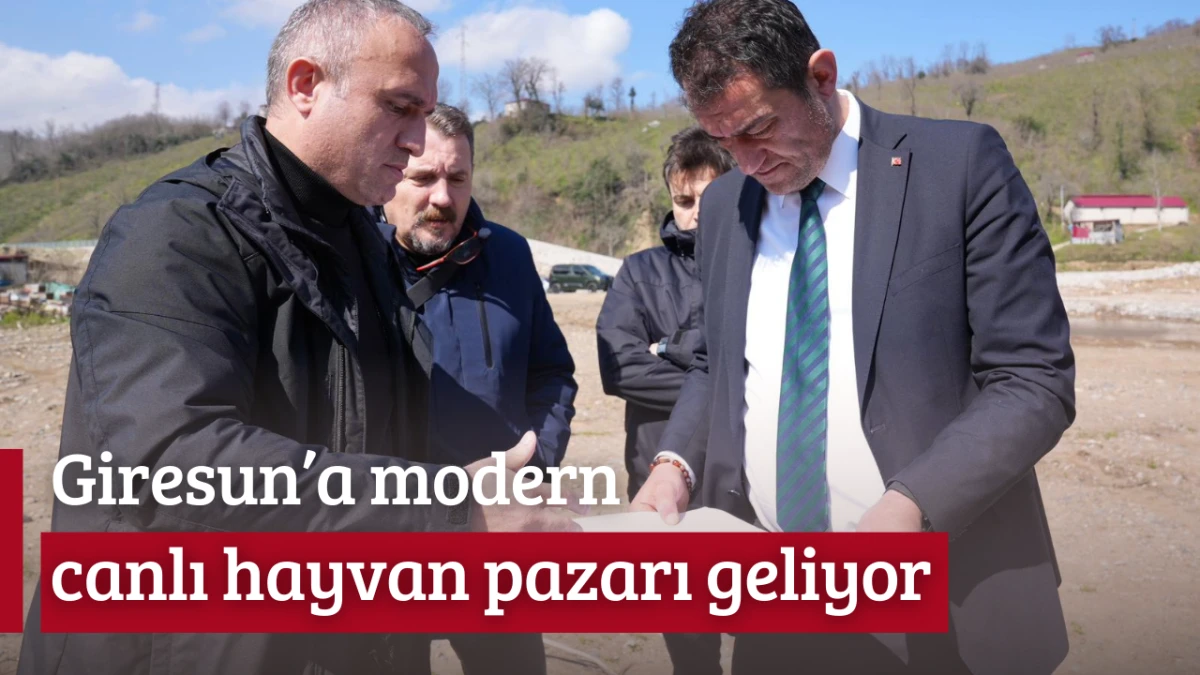 Giresun&rsquo;a modern canlı hayvan pazarı geliyor