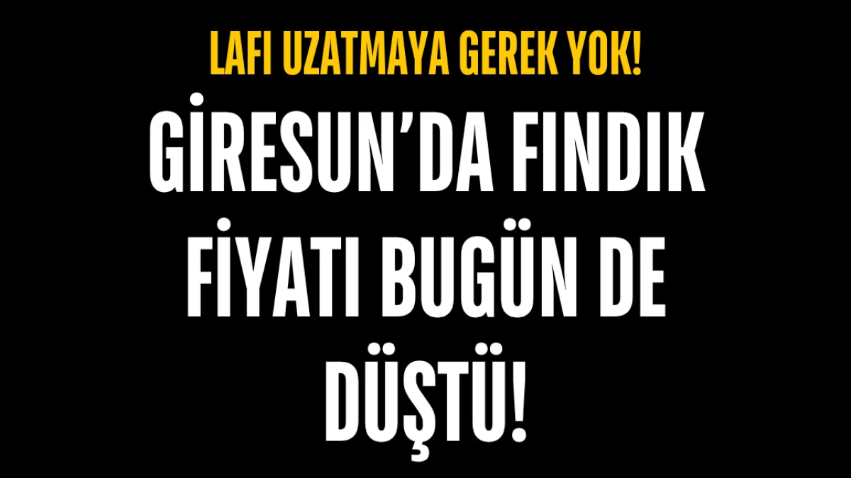 Giresun’da Fındık Fiyatı Bugün de Düştü! 