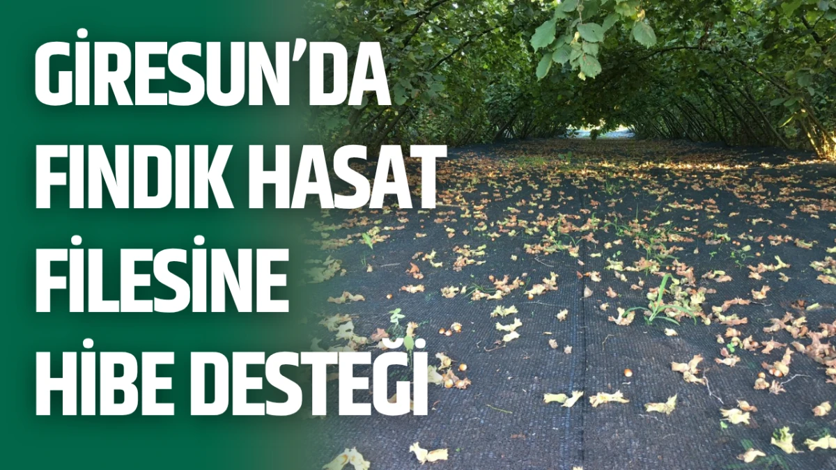 Giresun&rsquo;da Fındık Hasat Filesine Hibe Desteği