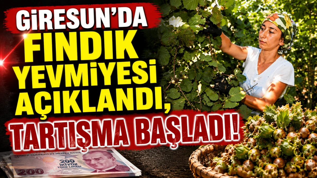 Giresun&rsquo;da Fındık Yevmiyesi A&ccedil;ıklandı, Tartışma Başladı
