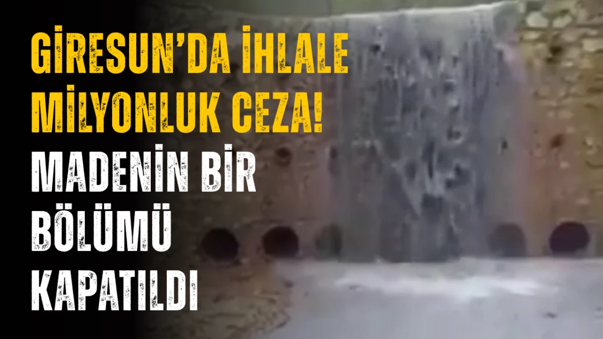 Giresun&rsquo;da ihlale milyonluk ceza! Madenin bir b&ouml;l&uuml;m&uuml; kapatıldı