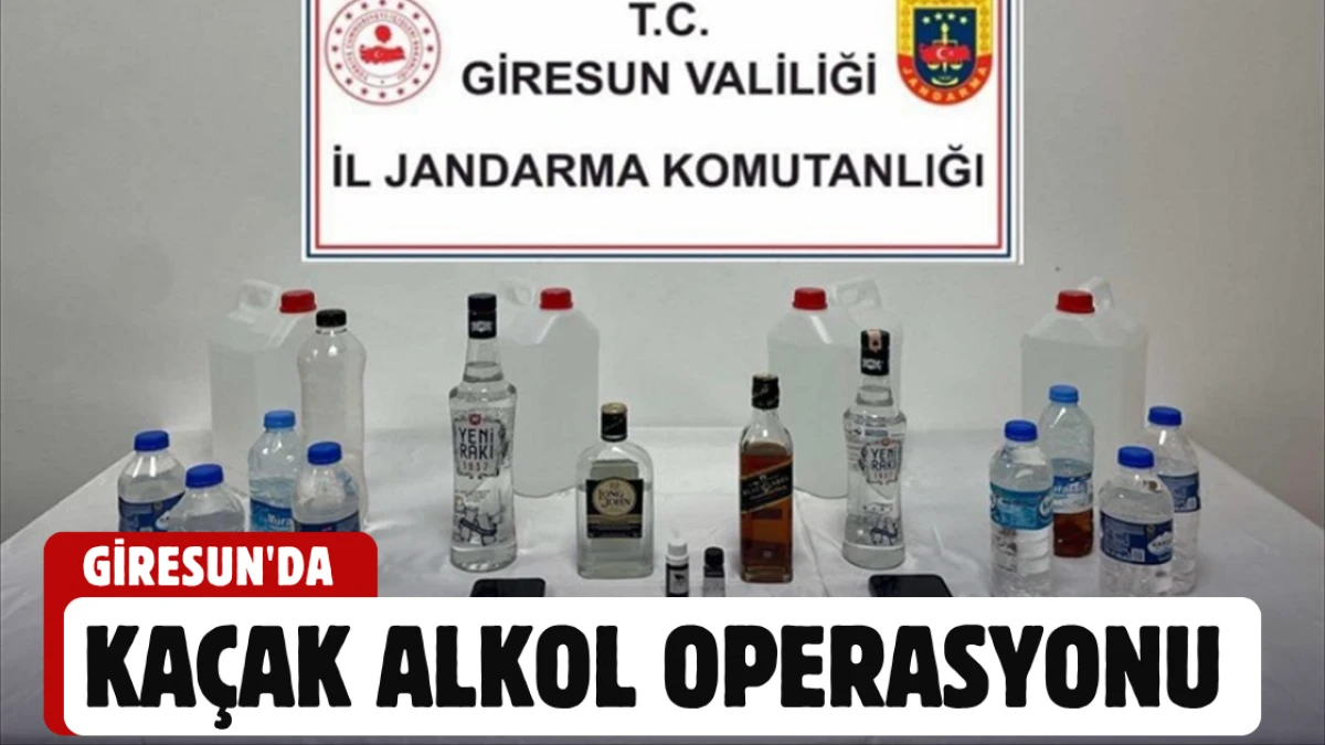 Giresun'da kaçak alkol operasyonu