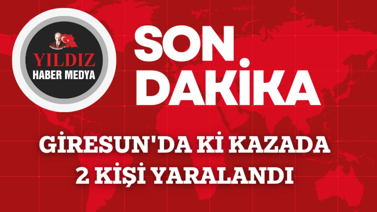 Giresun'da ki kazada 2 kişi yaralandı