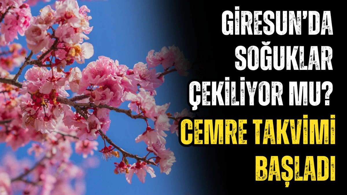  Giresun&rsquo;da Soğuklar &Ccedil;ekiliyor mu? Cemre Takvimi Başladı