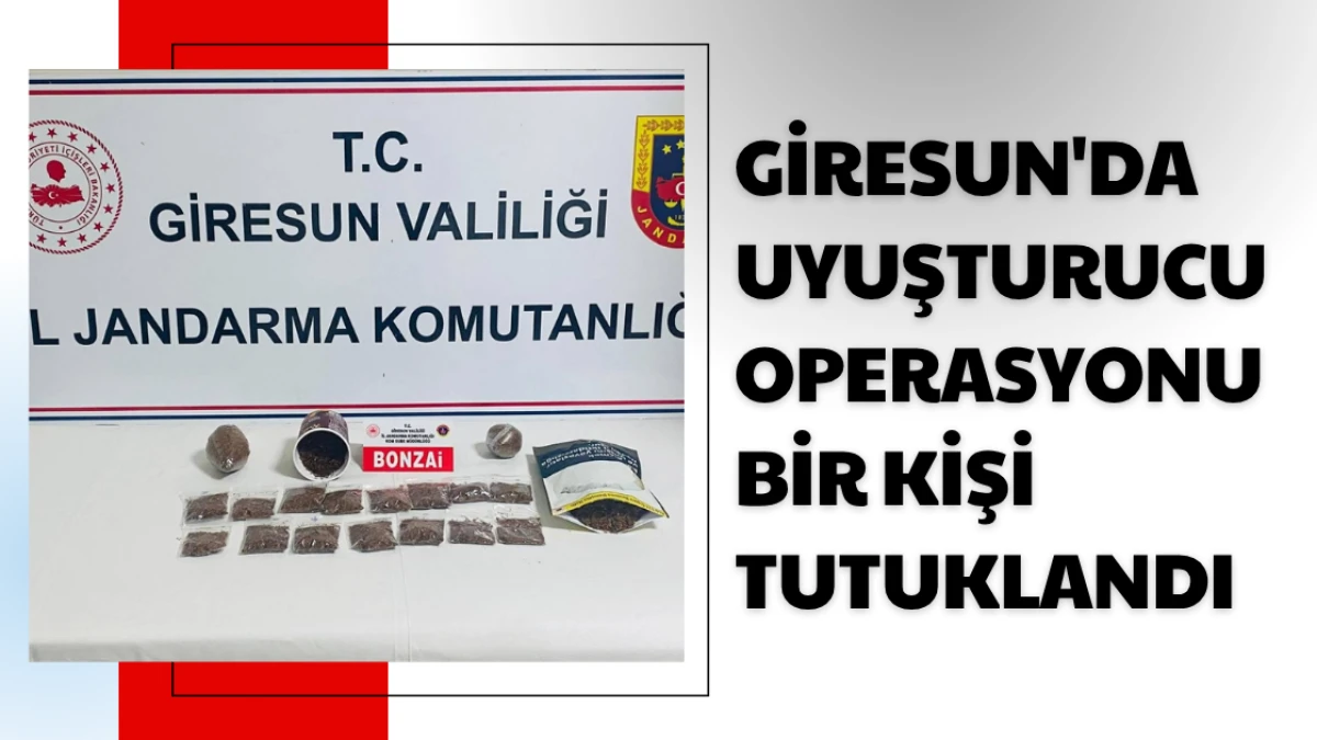 Giresun'da uyuşturucu operasyonu bir kişi tutuklandı