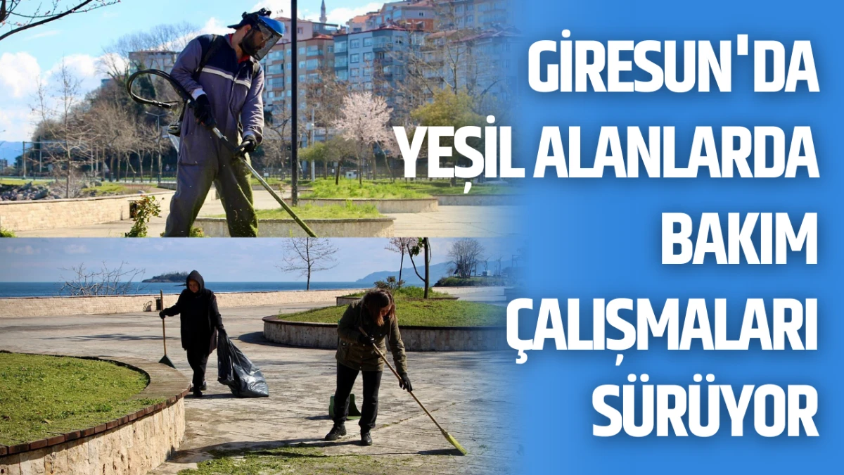 Giresun'da yeşil alanlarda bakım &ccedil;alışmaları s&uuml;r&uuml;yor