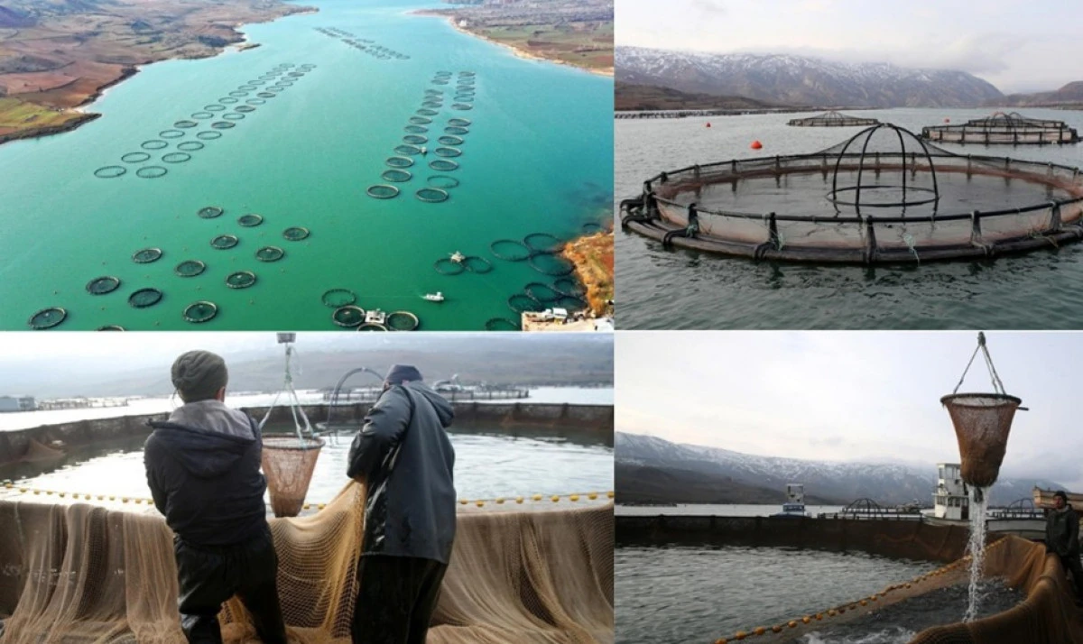 Giresun&rsquo;daki maden olayı bilimsel olarak incelendi