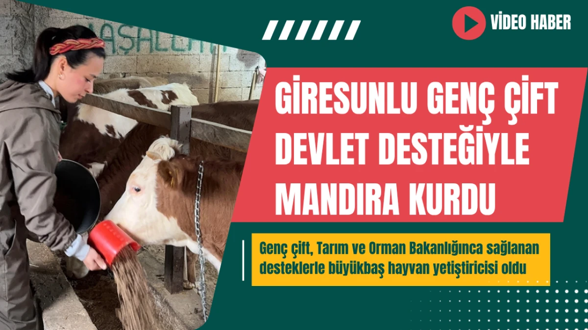 Giresunlu genç çift devlet desteğiyle mandıra kurdu