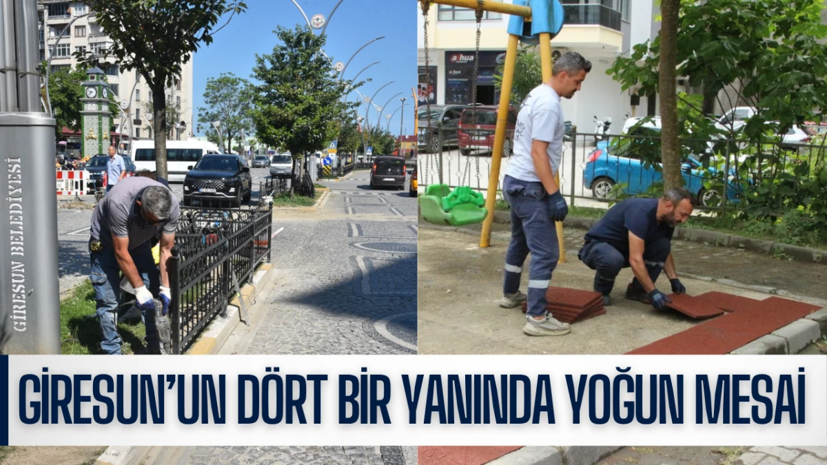 Giresun&rsquo;un d&ouml;rt bir yanında yoğun mesai