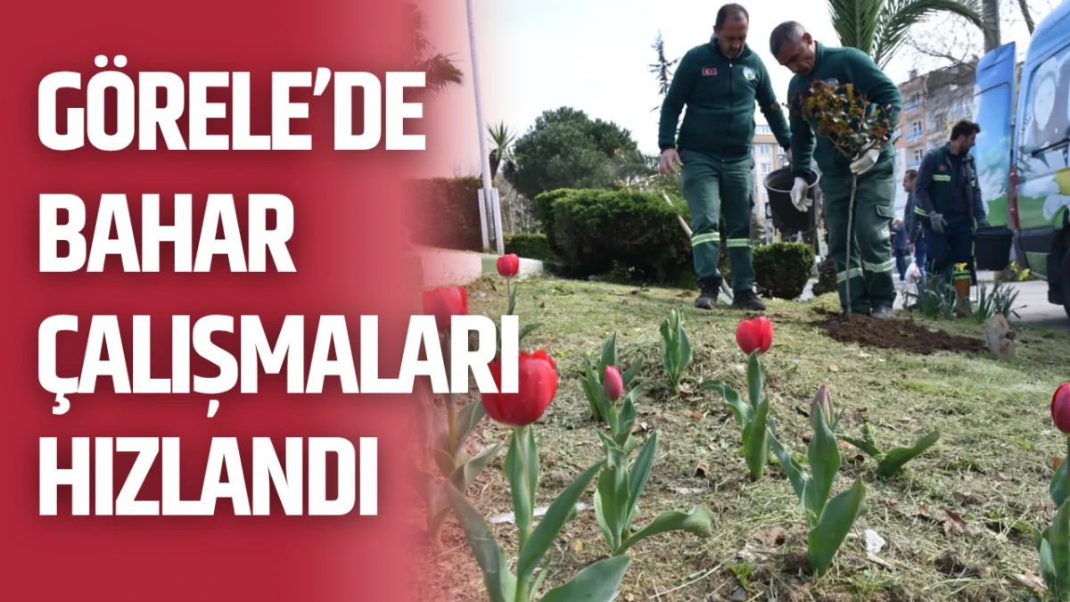 G&ouml;rele'de bahar &ccedil;alışmaları hızlandı