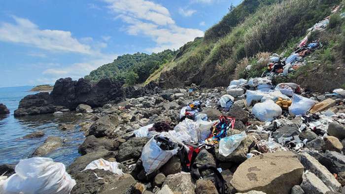 Karadeniz'deki canlı yaşamı kirlilik, avcılık ve yabancı türlerin baskısı altında