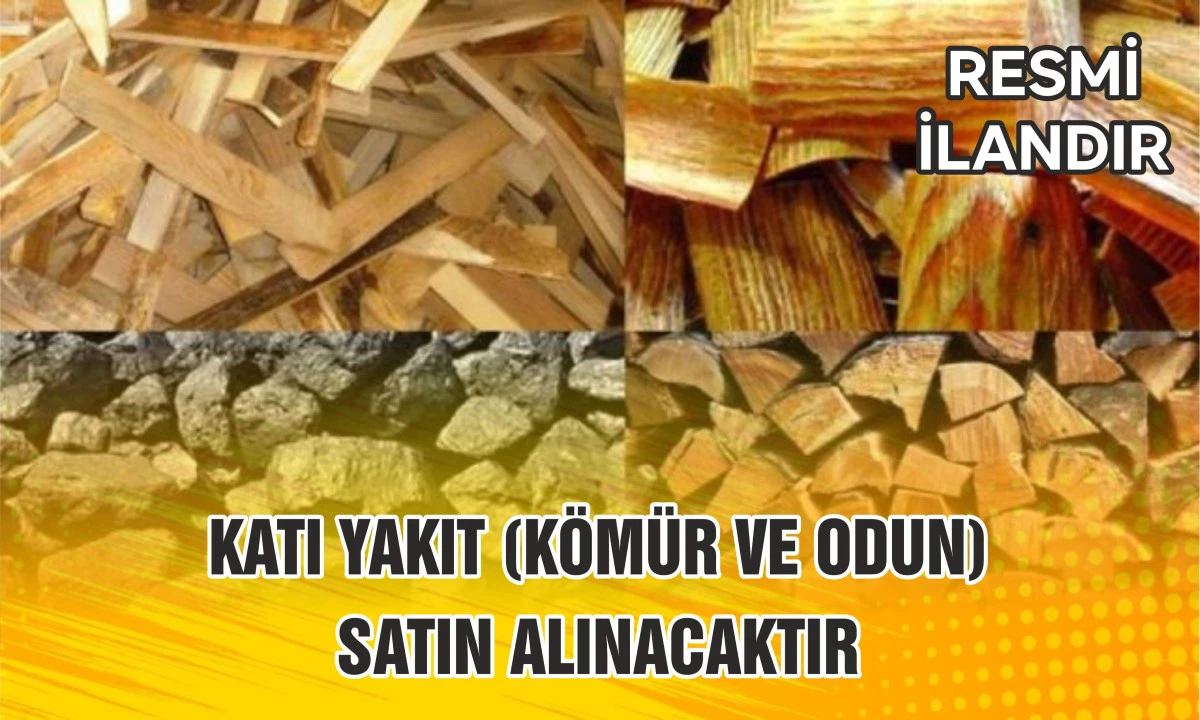 KATI YAKIT (K&Ouml;M&Uuml;R VE ODUN) SATIN ALINACAKTIR