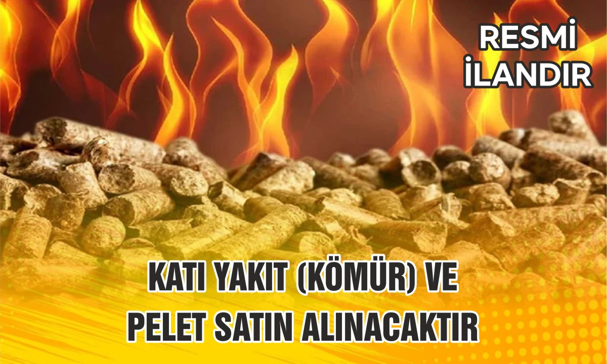 KATI YAKIT (K&Ouml;M&Uuml;R) VE PELET SATIN ALINACAKTIR