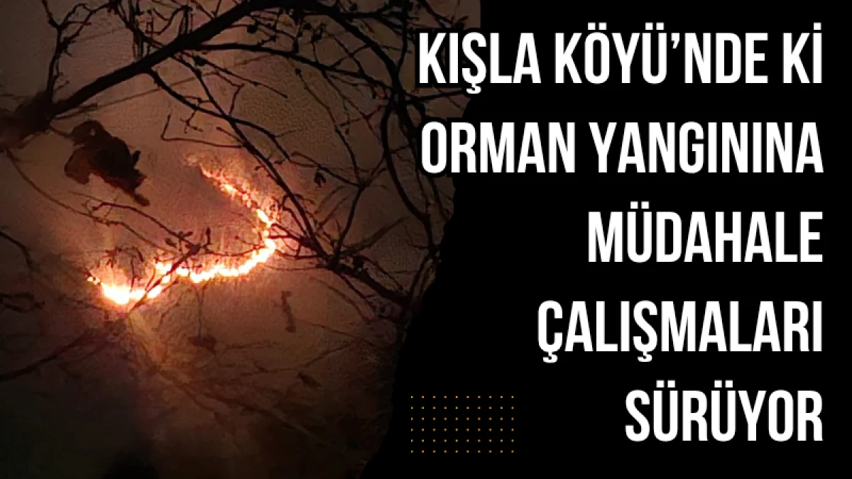 Kışla Köyü’nde ki Orman Yangınına müdahale çalışmaları sürüyor