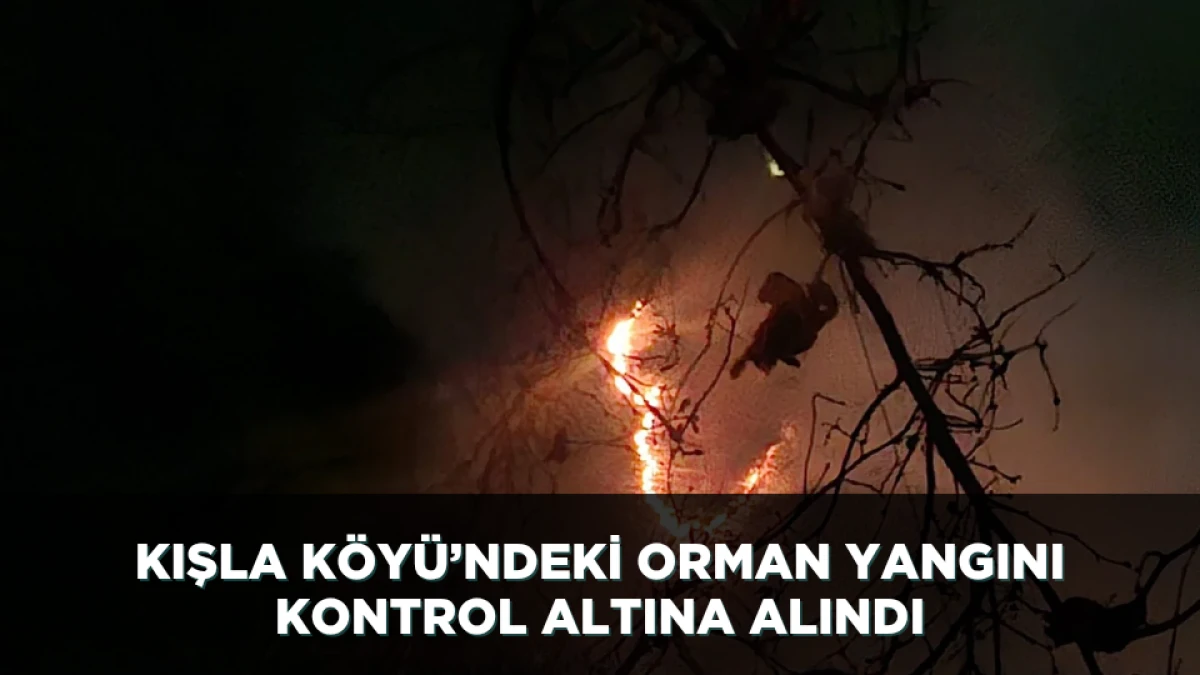 Kışla Köyü’ndeki Orman Yangını kontrol altına alındı