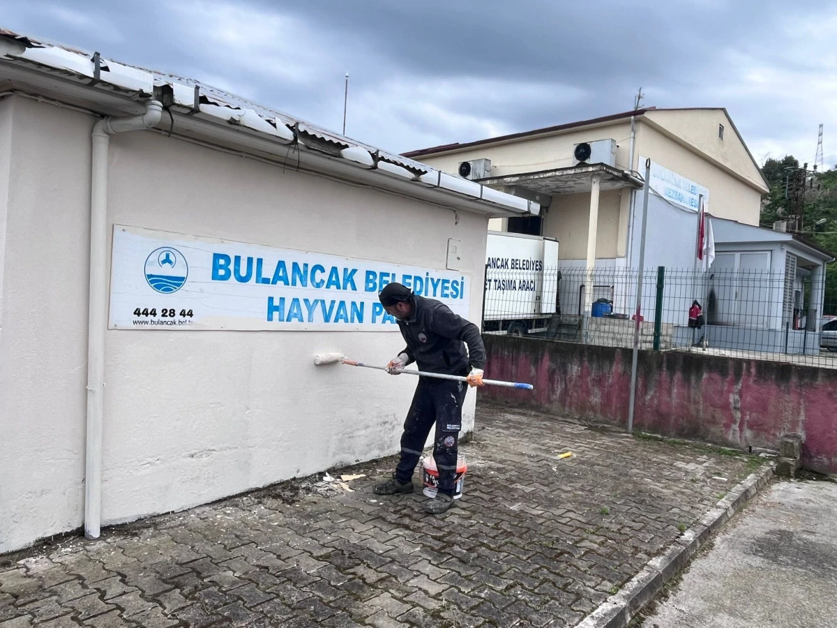 Kurban Bayramı &Ouml;ncesi &ccedil;alışmalar tam gaz